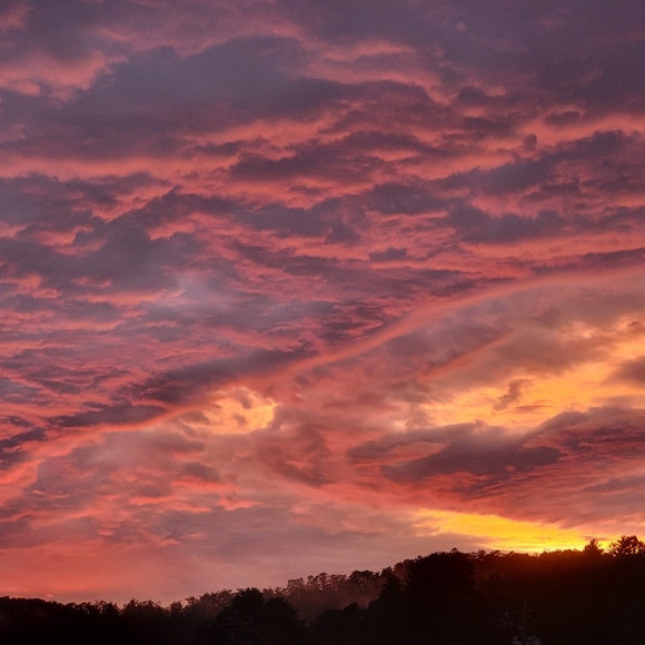 Meet your Posher, Sondra - Picture 2 of 2